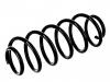 Coil spring:48231-02J11