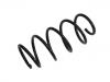 Coil spring:EY16-5310-CC