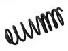 Coil spring:DV61-5B669-JD