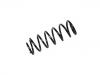 Coil spring:1808626