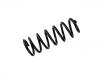 Coil spring:1808627