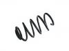 Coil spring:2023352