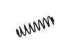 Coil spring:DN1C-5560-AE