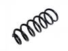 Coil spring:205 321 19 04