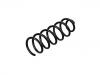 Coil spring:205 321 58 04