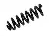 Coil spring:205 324 09 04