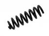 Coil spring:205 324 11 04