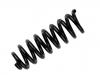 Coil spring:205 324 12 04