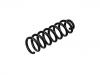 Coil spring:205 324 25 04