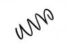 Coil spring:242 321 03 04