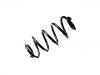 Coil spring:156 324 04-04