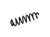 Coil spring:84198854