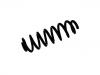 Coil spring:84198870