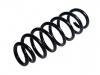 Coil spring:31658908