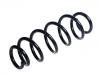 Coil spring:31658913