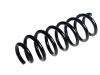 Coil spring:31681019