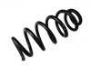 Coil spring:31476773