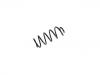 Coil spring:9806762080