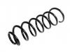 Coil spring:9675806680