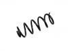 Coil spring:8W0 411 105 CN