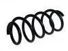 Coil spring:2N0 411 105 AG