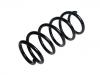 Coil spring:2N0 411 105 AP