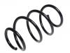 Coil spring:4040A270