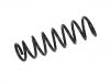 Coil spring:4140A348