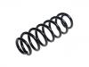 Coil spring:41311-61M00