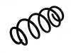 Coil spring:41311-84M00